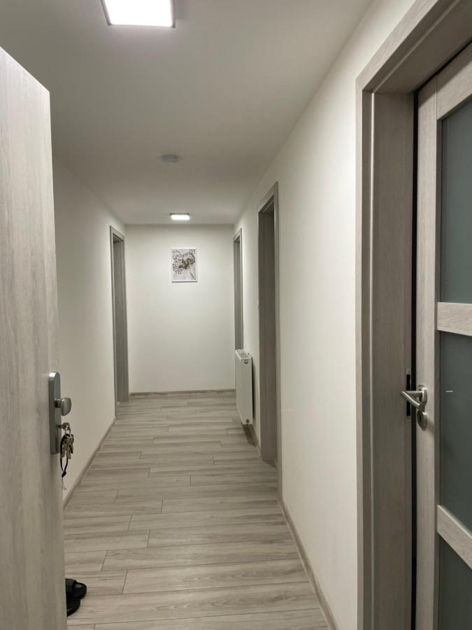 Apartament Cheb Εξωτερικό φωτογραφία